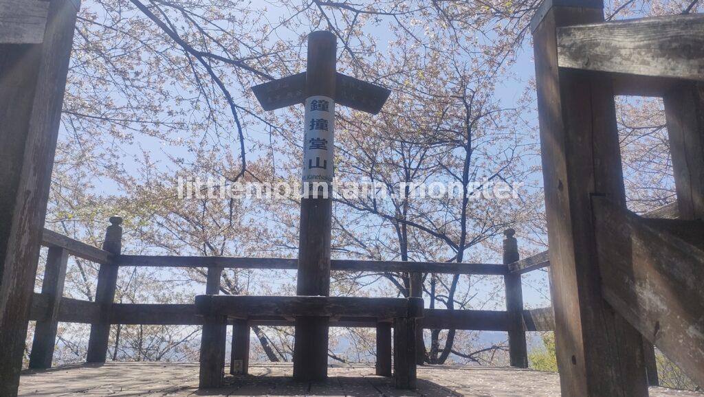 >有終の美！散り際の桜咲く鐘撞堂山山頂（330m）