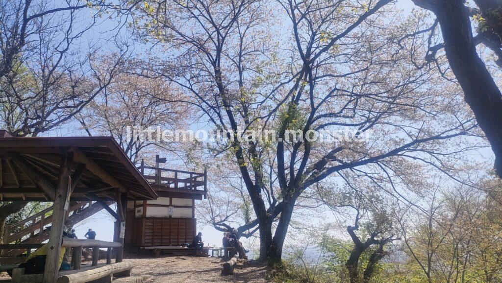 >有終の美！散り際の桜咲く鐘撞堂山山頂（330m）