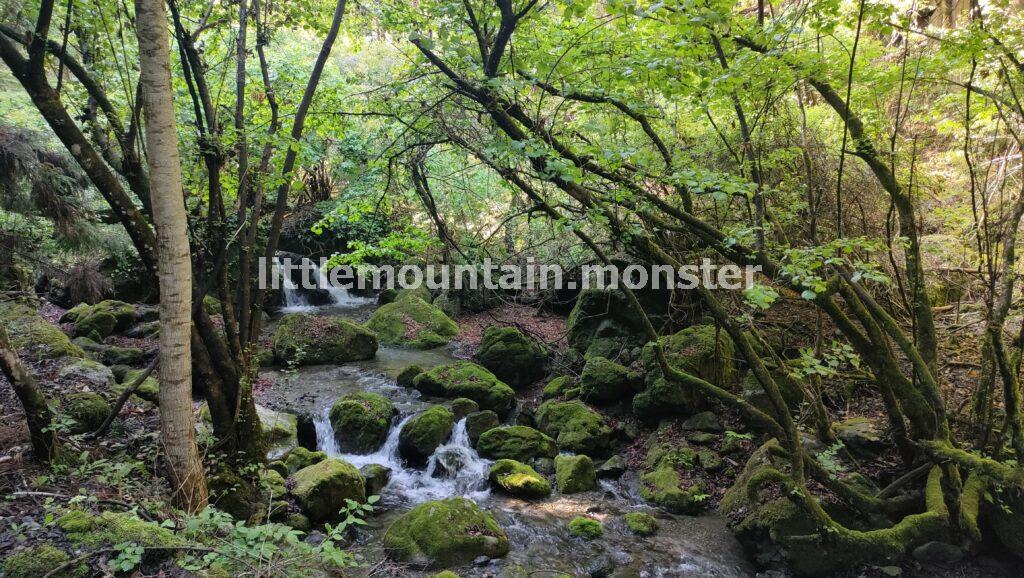 秩父鉄道・白久駅発！城山コース登山口までは渓流沿いの舗装路を行く