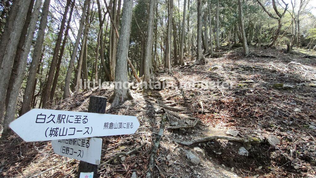 九十九折→木の根っ子、落ち葉の急坂→岩場をアップダウンをしながら登っていく