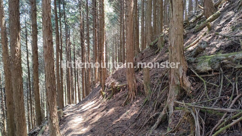【熊倉山・日野コース】苔むした岩＋渓流が美しい