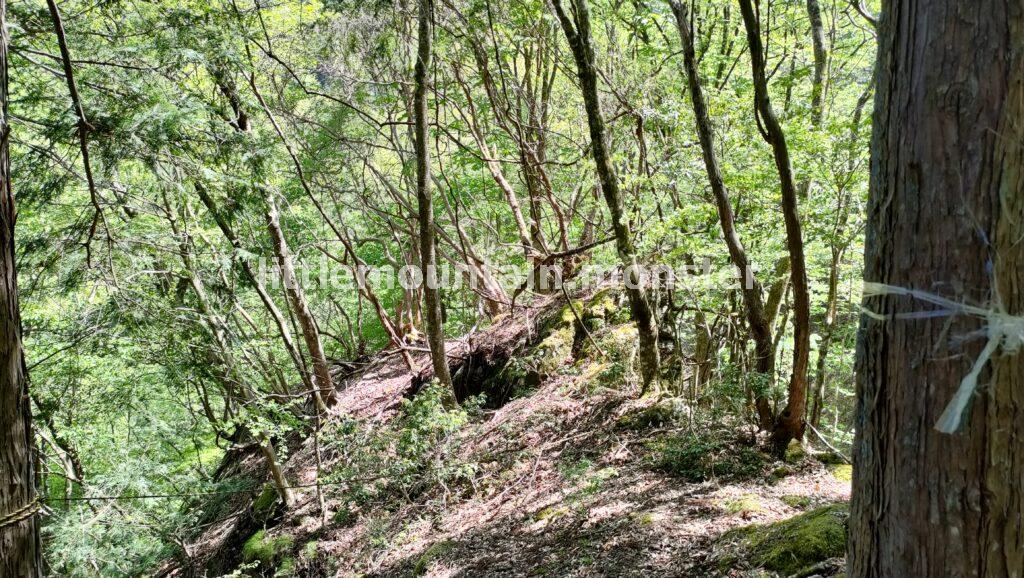 【熊倉山・日野コース】苔むした岩＋渓流が美しい