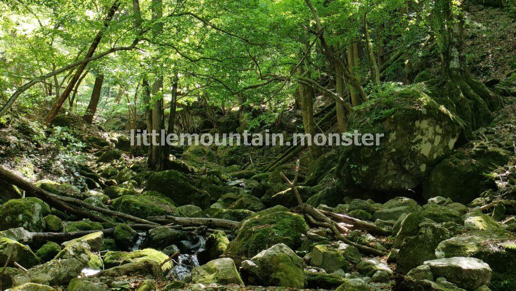 【熊倉山・日野コース】苔むした岩＋渓流が美しい