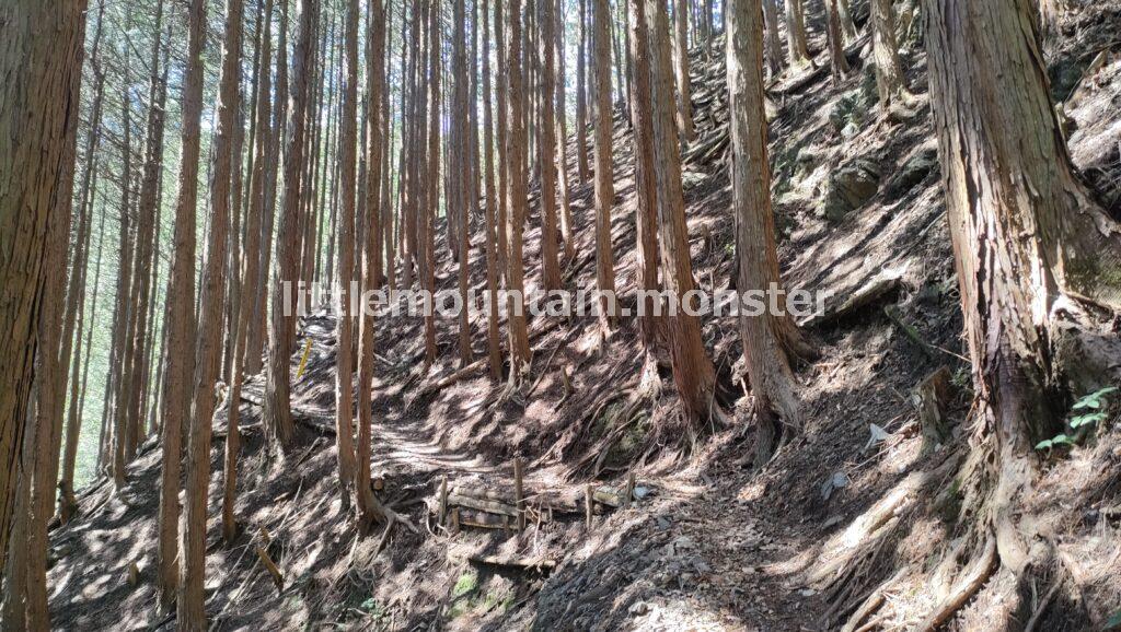 渓流沿いの舗装路から、登山道へ！鳥首峠を目指す
