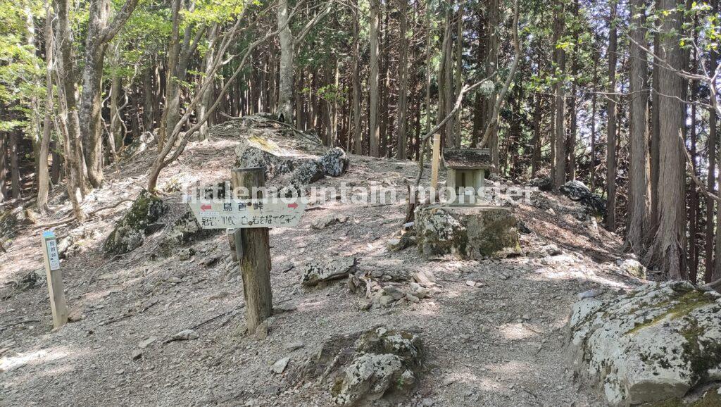 渓流沿いの舗装路から、登山道へ！鳥首峠を目指す