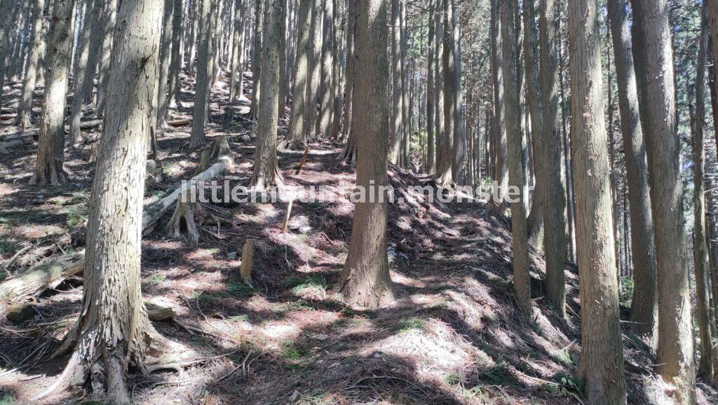 大持山まで:九十九折と急坂の連続