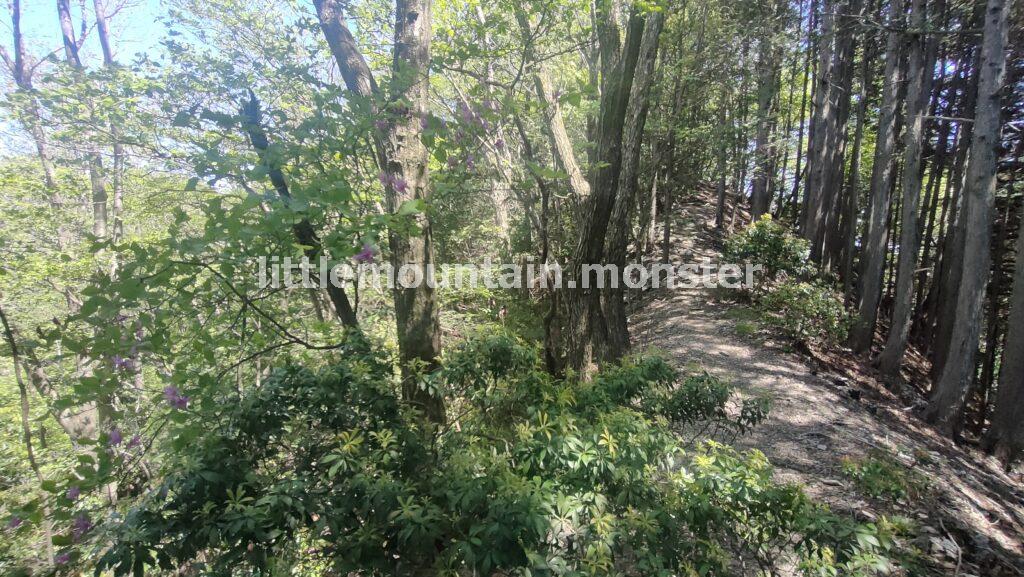 大持山まで:九十九折と急坂の連続