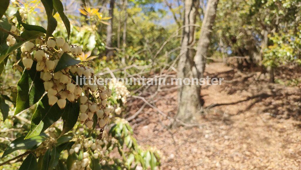 大持山まで:九十九折と急坂の連続