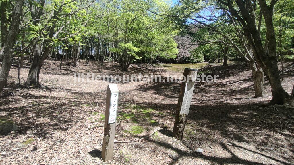大持山まで:九十九折と急坂の連続