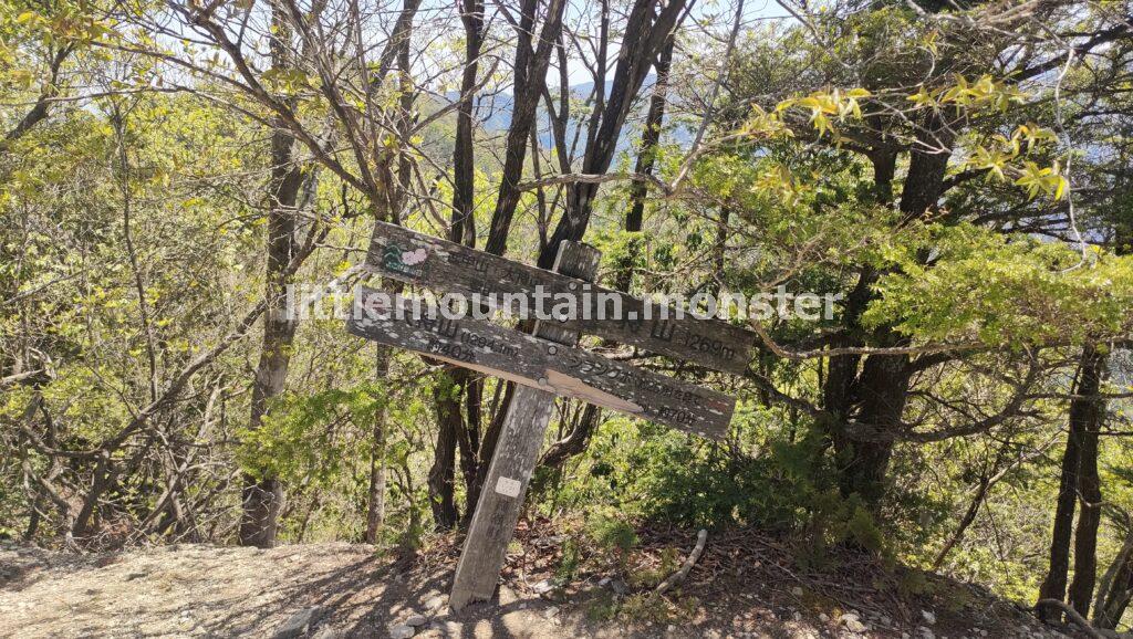 大持山から小持山:岩場とツツジの縦走路
