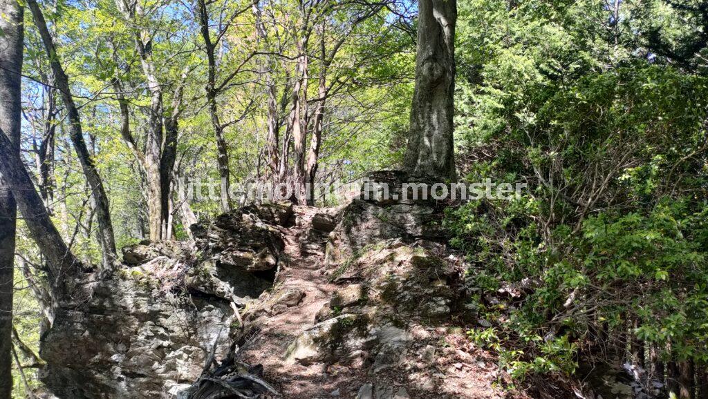 シラジタボから、武甲山・一の鳥居へ下山開始