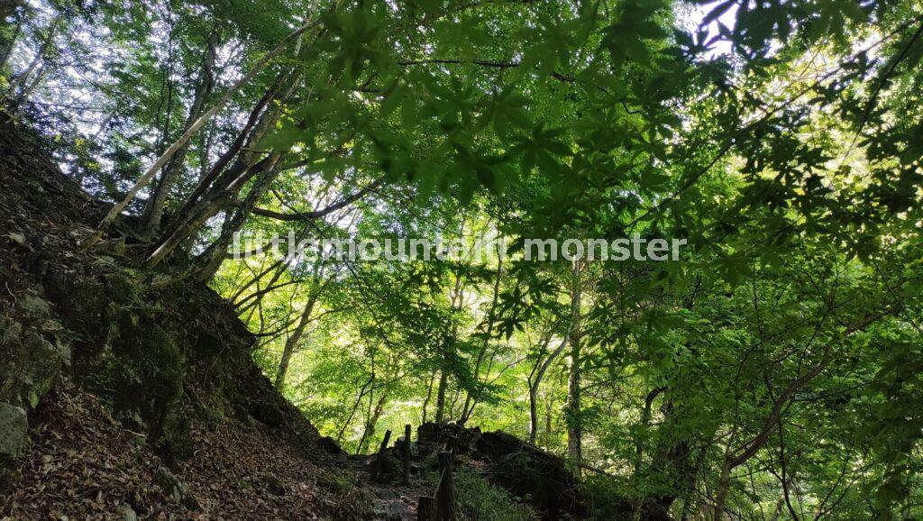 三峯神社まで表参道を修行のように登っていく