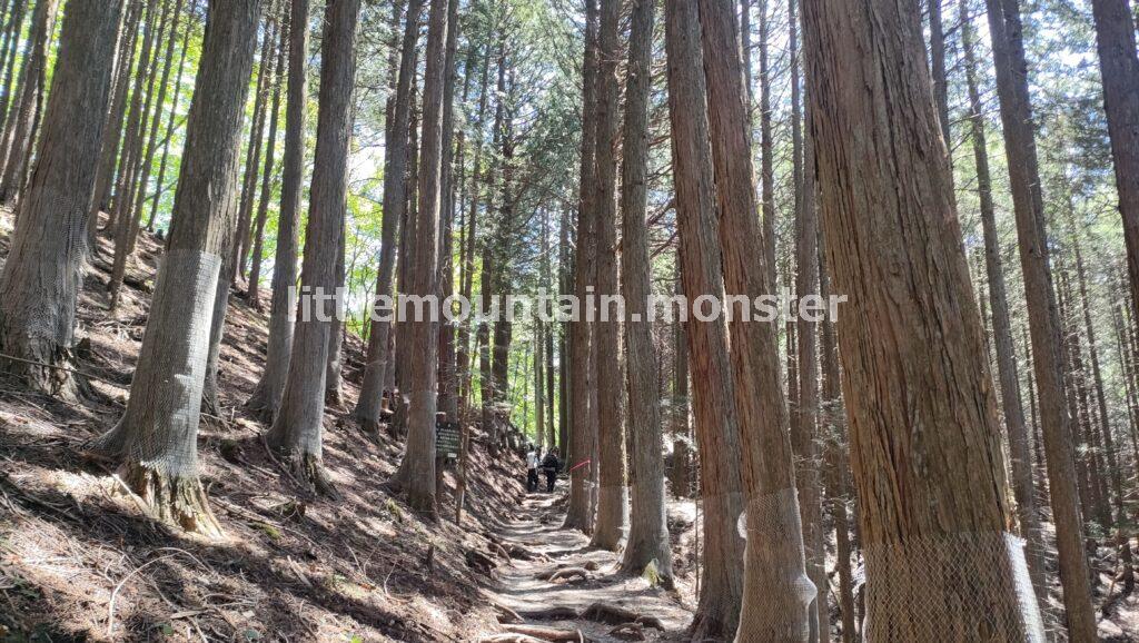 三峯神社の奥宮を参拝・ツツジが微笑んでくれました