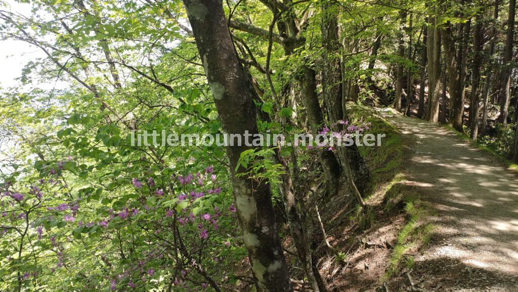 三峯神社の奥宮を参拝・ツツジが微笑んでくれました