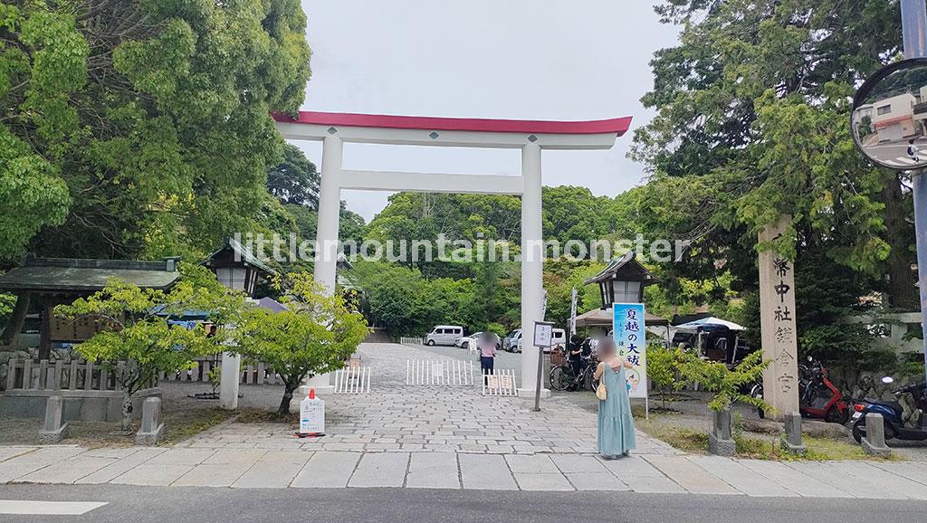 新緑が眩しい!天園ハイキングコース