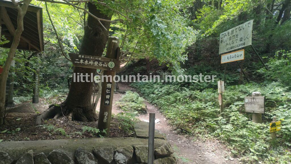 小さな花に微笑む♪粥仁田峠から大霧山(767m)山頂へ