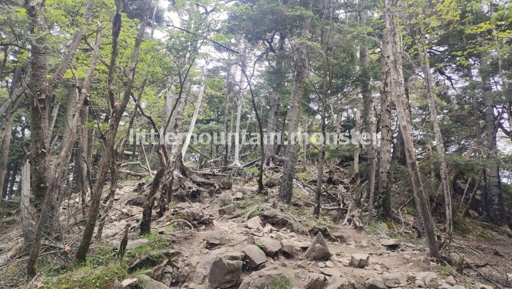 日本百名山4つ目完登！大菩薩嶺山頂（2,057m）へ