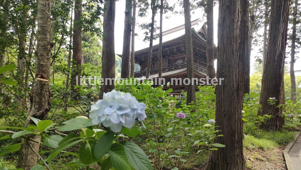 鎌倉時代開山!臨済宗大本山 円覚寺(えんがくじ)