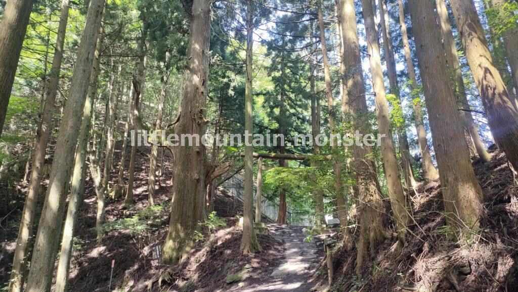 奥の院を目指して、急坂を登るよ