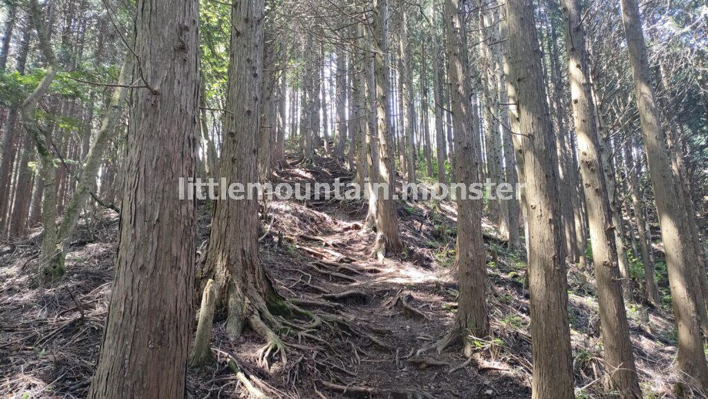 丹沢とは別もの!鍋割山(1,084m)