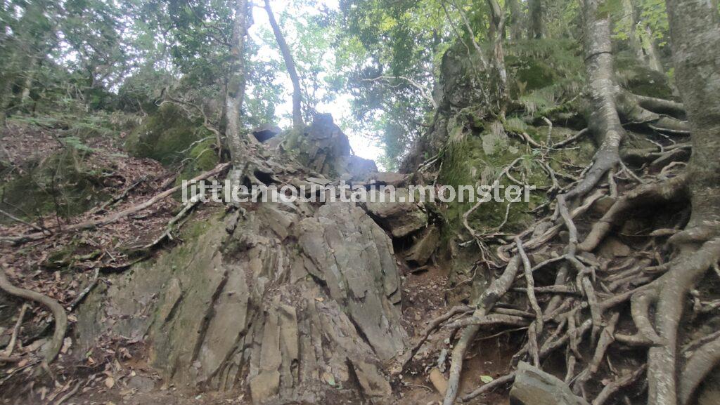 伊之助の故郷!岩場が続く大岳山(1266m)