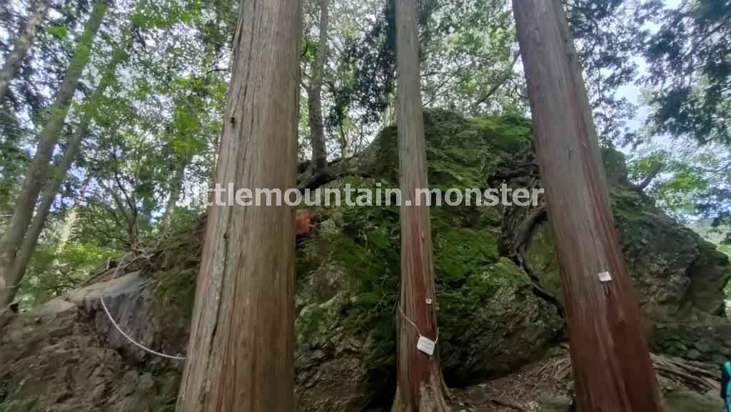深緑の渓流!ロックガーデン(岩田園)を散策