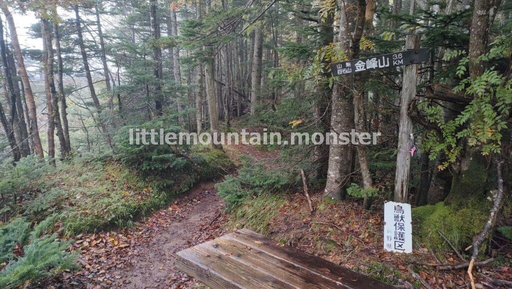 大弛峠(2,360m)から金峰山(2,599m)を目指して出発