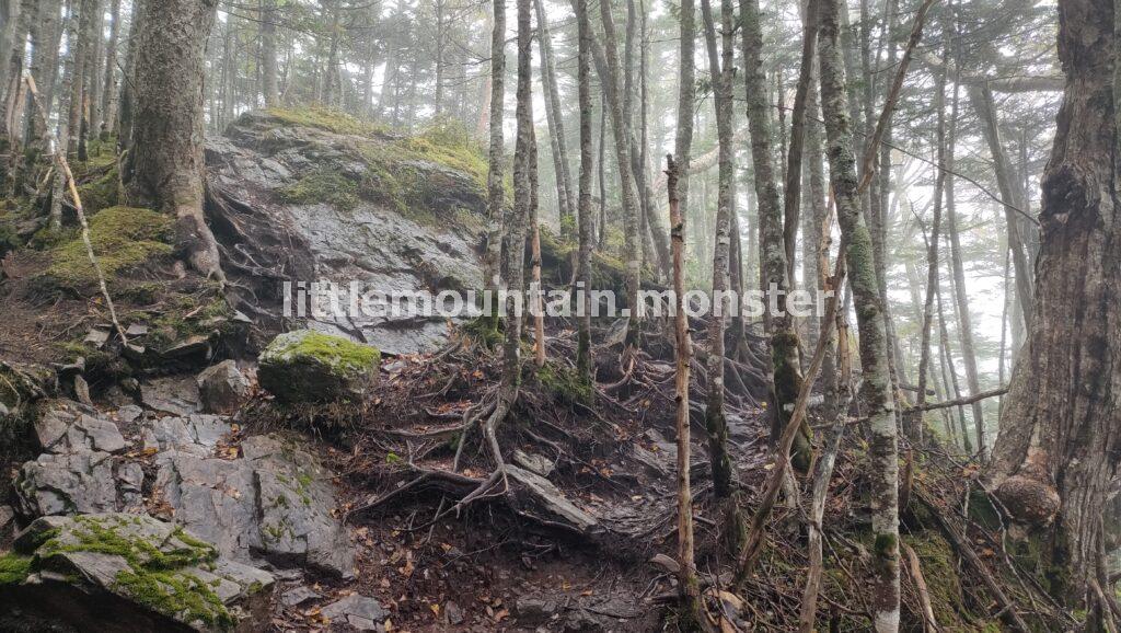 大弛峠(2,360m)から金峰山(2,599m)を目指して出発