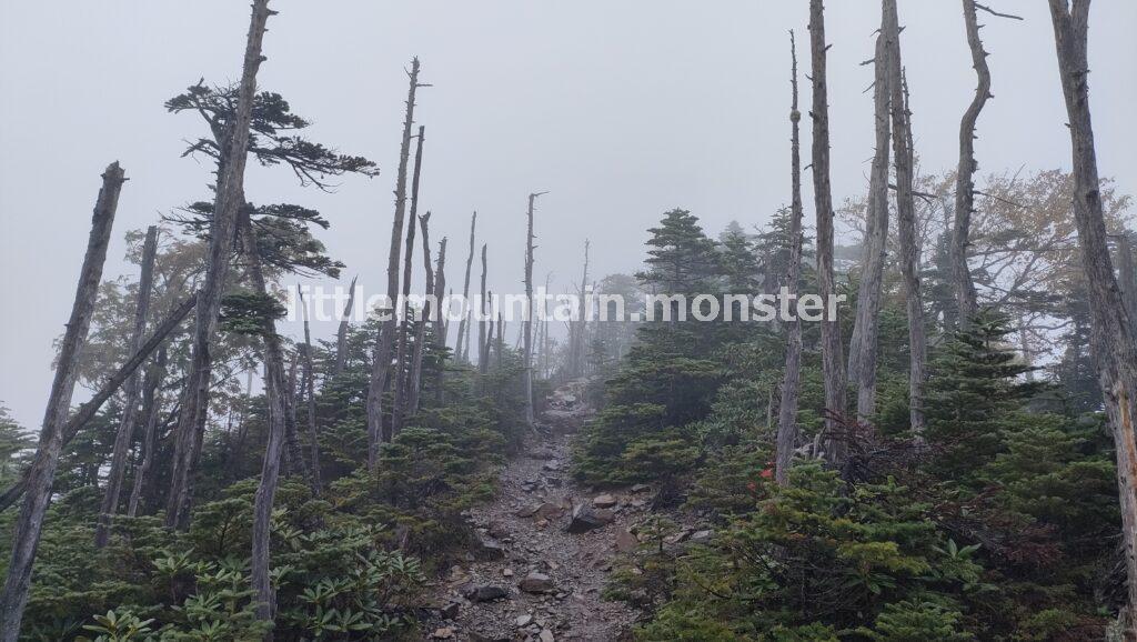 大弛峠(2,360m)から金峰山
