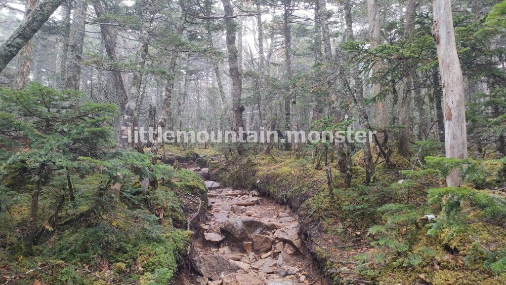 朝日岳(2,579m)を通過し、鉄山をまく