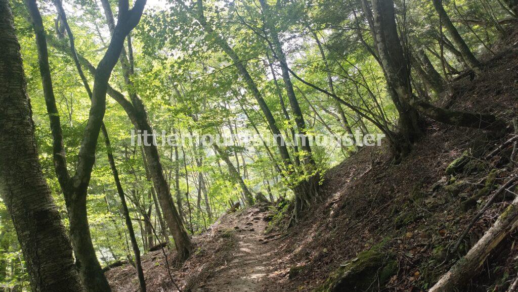 七ツ釜五段の滝を目指して、西沢渓谷をハイキング