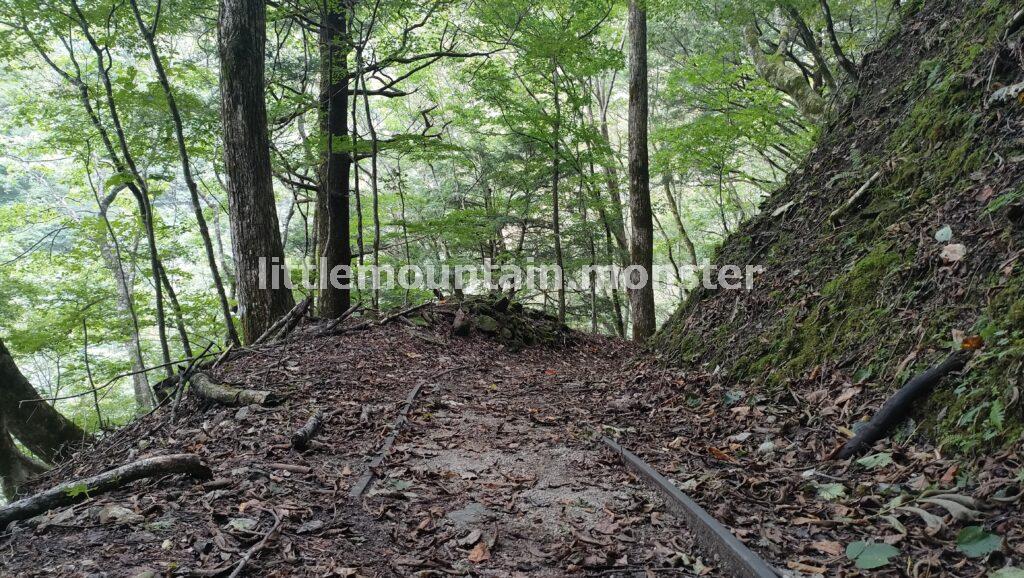 旧森林軌道(西沢渓谷遊歩道/旧トロッコ道)を下っていくよ