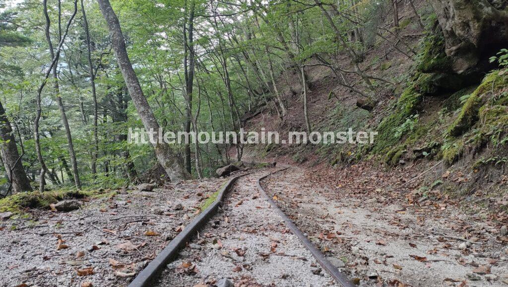 旧森林軌道(西沢渓谷遊歩道/旧トロッコ道)を下っていくよ