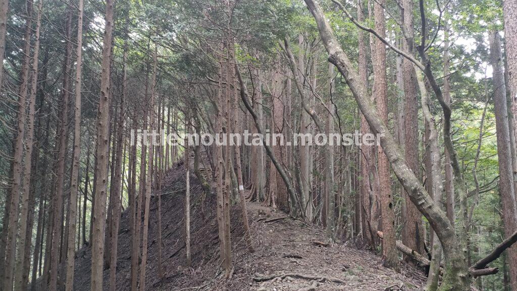 サス沢山（940m）→惣岳山（1348.5m）と登山コースを登り、御前山（1,405m）頂上へ