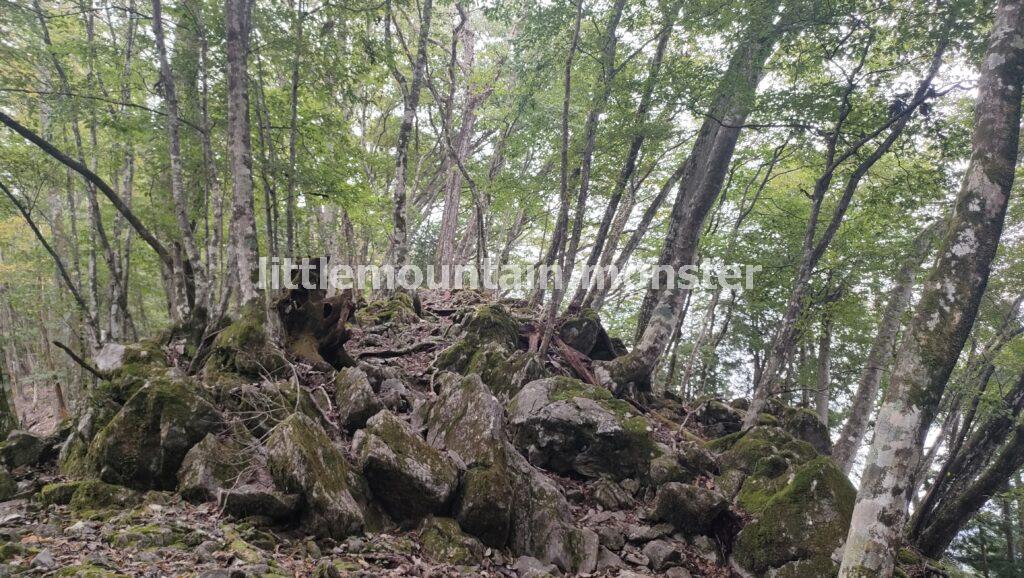 サス沢山（940m）→惣岳山（1348.5m）と登山コースを登り、御前山（1,405m）頂上へ
