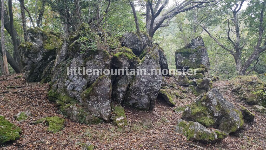 サス沢山（940m）→惣岳山（1348.5m）と登山コースを登り、御前山（1,405m）頂上へ