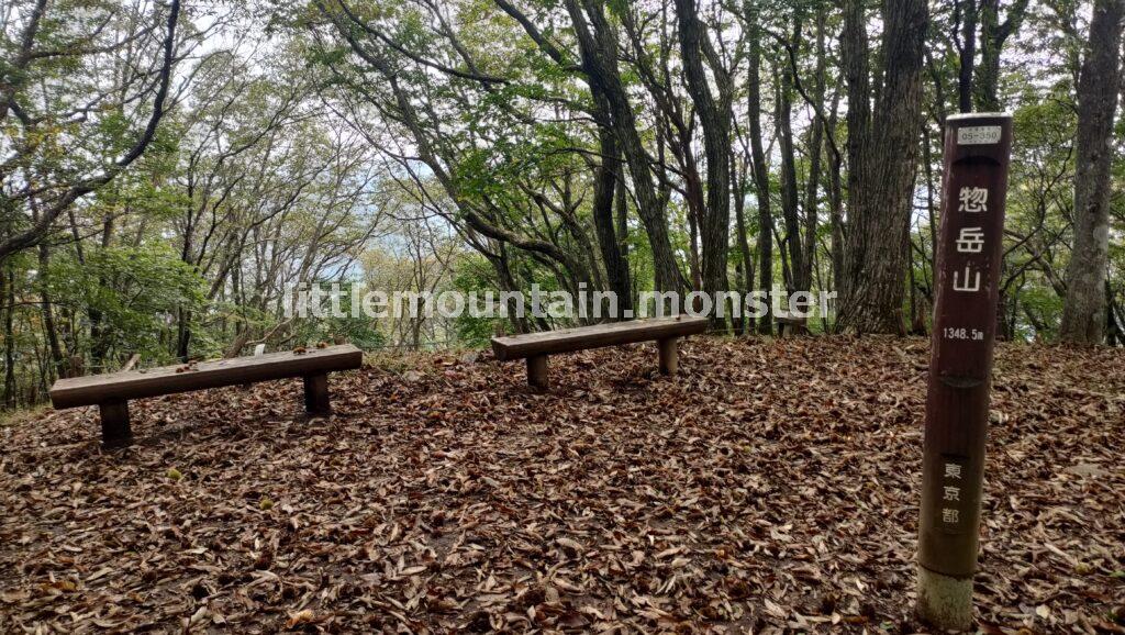 サス沢山（940m）→惣岳山（1348.5m）と登山コースを登り、御前山（1,405m）頂上へ