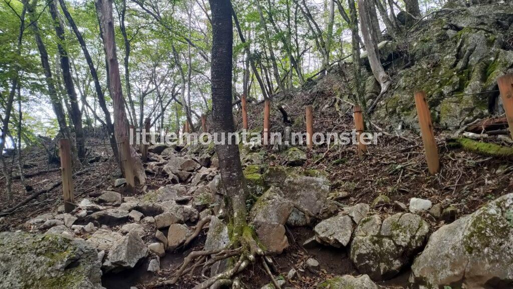 サス沢山（940m）→惣岳山（1348.5m）と登山コースを登り、御前山（1,405m）頂上へ