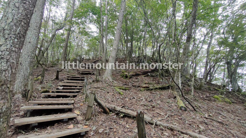 サス沢山（940m）→惣岳山（1348.5m）と登山コースを登り、御前山（1,405m）頂上へ