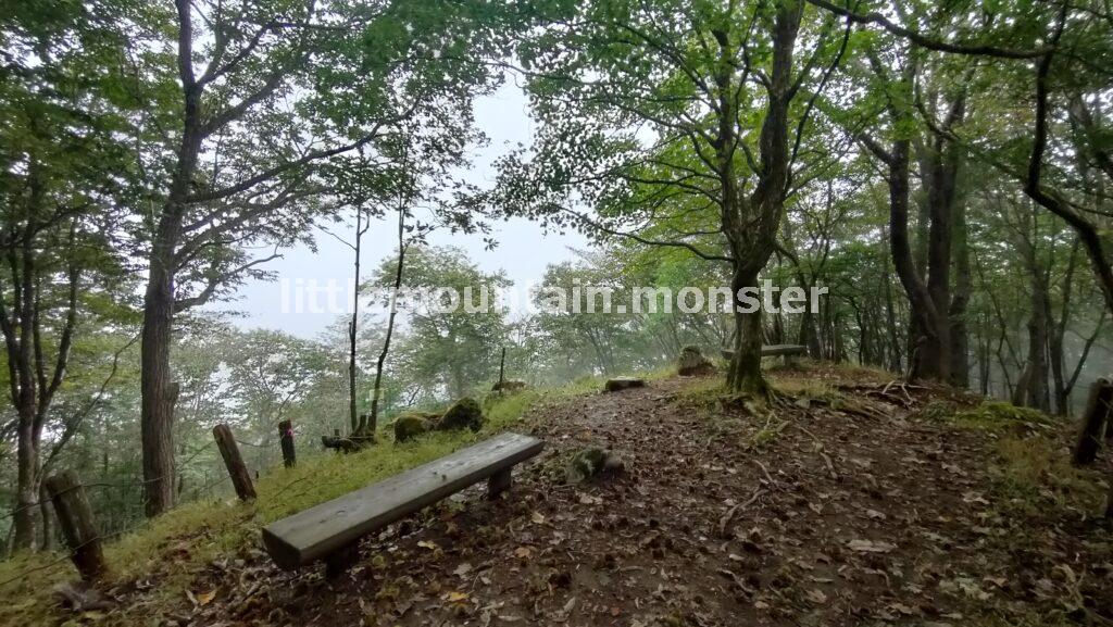 サス沢山（940m）→惣岳山（1348.5m）と登山コースを登り、御前山（1,405m）頂上へ