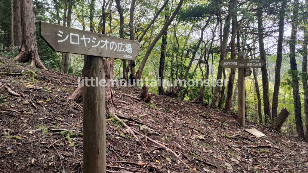 体験の道へ迷いこむ！苔むした岩にほくそ笑む