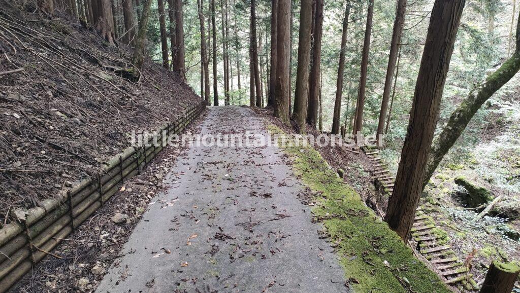 体験の道へ迷いこむ！苔むした岩にほくそ笑む