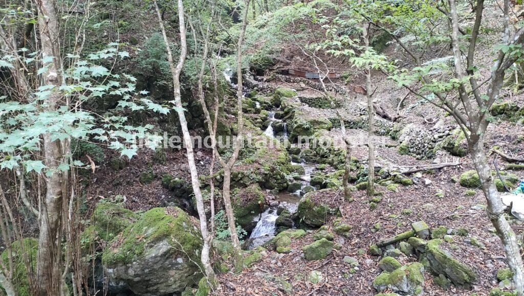 体験の道へ迷いこむ！苔むした岩にほくそ笑む