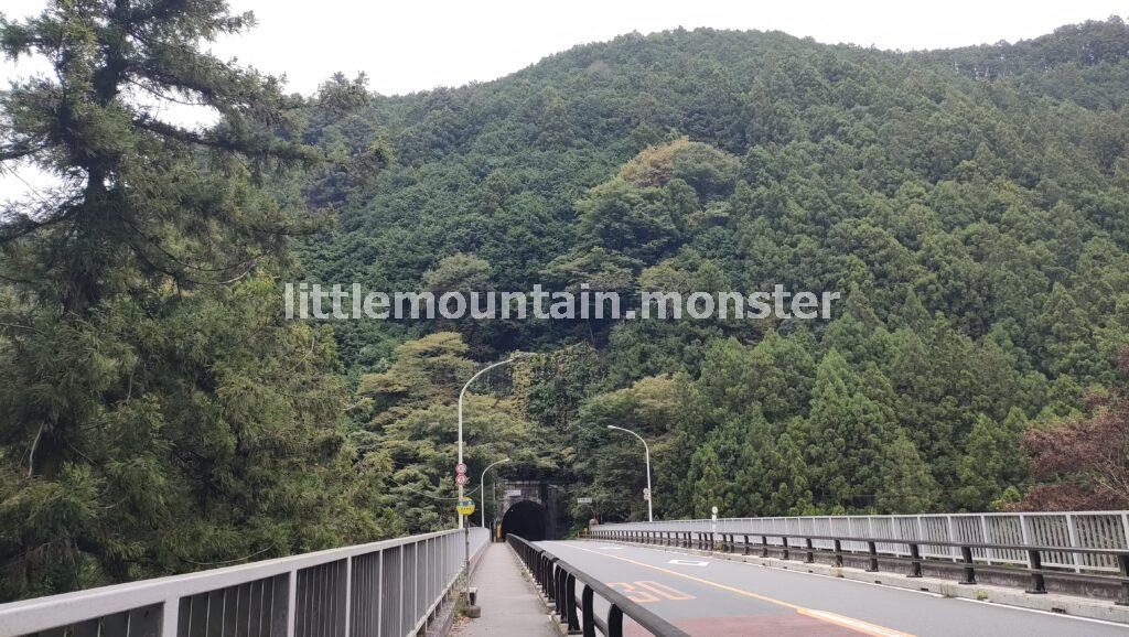 体験の道へ迷いこむ！苔むした岩にほくそ笑む
