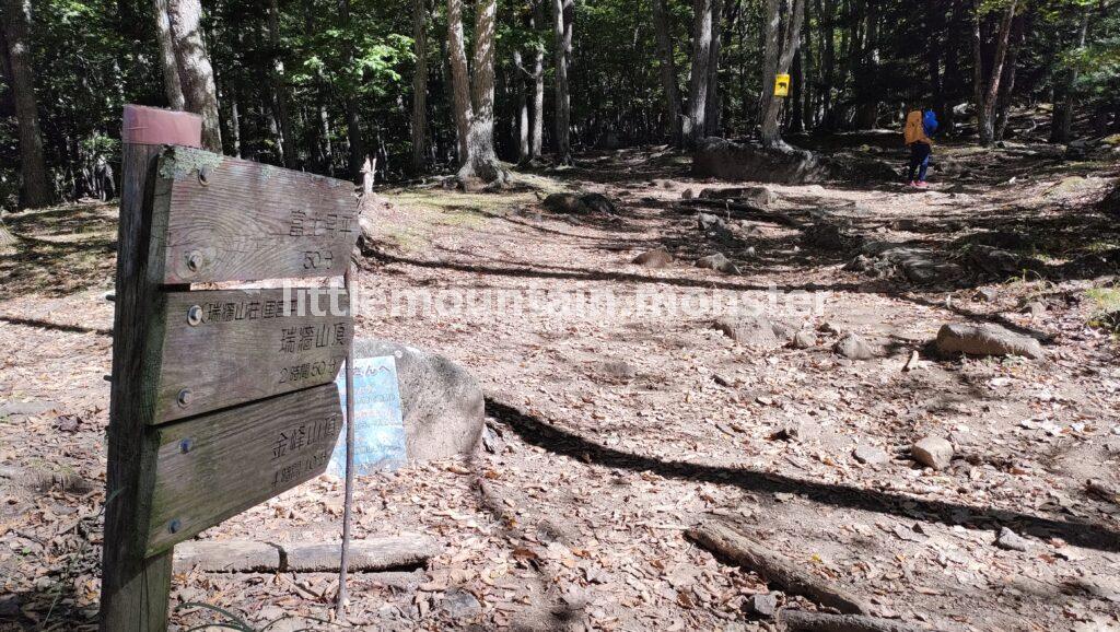桃太郎岩までは、岩多めの登山道を登る