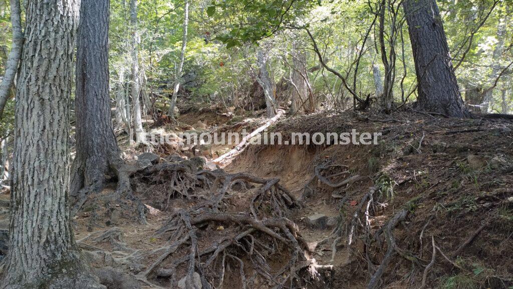 桃太郎岩までは、岩多めの登山道を登る