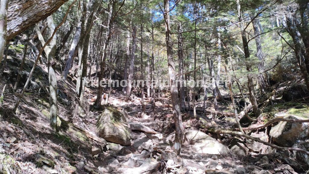 桃太郎岩までは、岩多めの登山道を登る