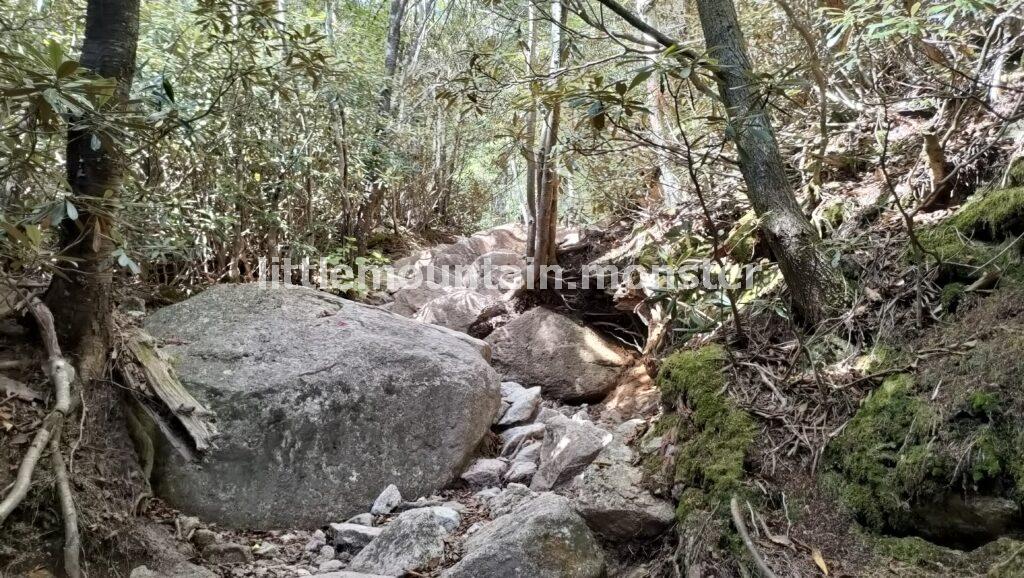 桃太郎岩までは、岩多めの登山道を登る