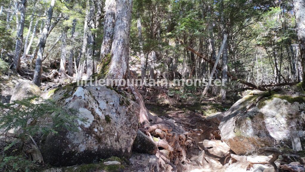 桃太郎岩までは、岩多めの登山道を登る