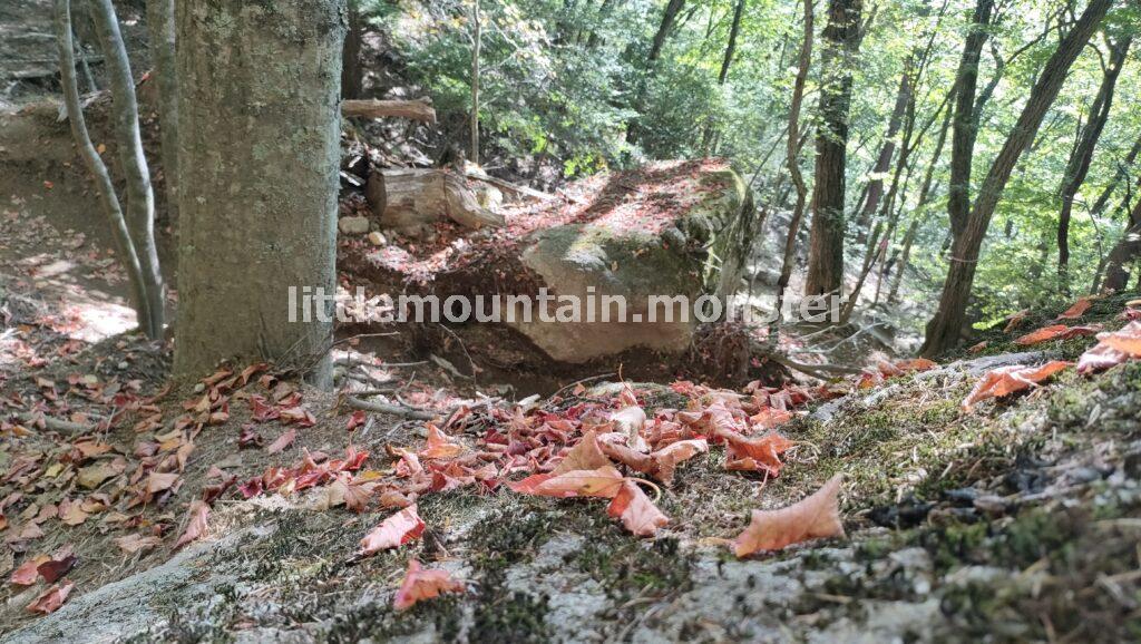 瑞牆山荘目指して、ひたすら下る